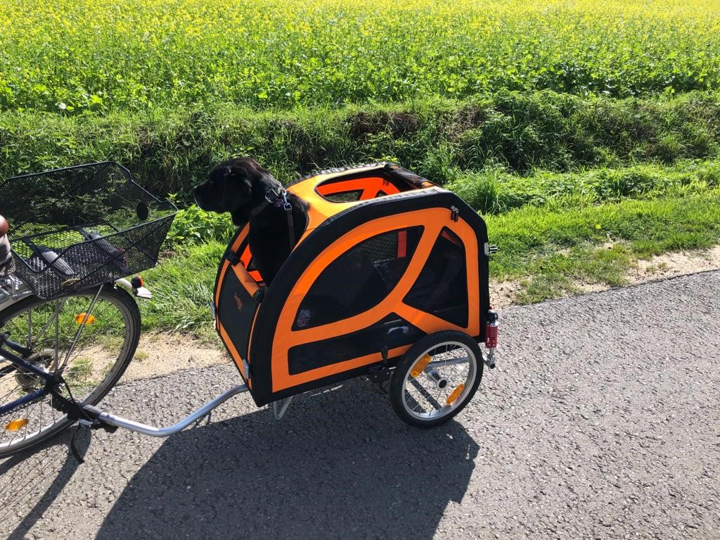 Animalshopping.de - 4. Als Rad-Fixierung besitzt der DogBus eine  Feststellbremse an beiden Rädern. Der Comfort Wagon bietet eine  Klettsicherung.